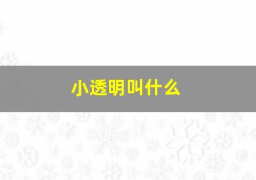 小透明叫什么,小透明儿是什么意思