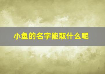 小鱼的名字能取什么呢