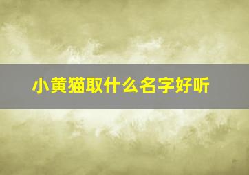 小黄猫取什么名字好听