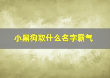 小黑狗取什么名字霸气,小黑狗取名字霸气又吉利两个字