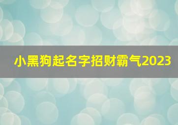 小黑狗起名字招财霸气2023,一条小黑狗的霸气名字