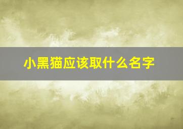 小黑猫应该取什么名字