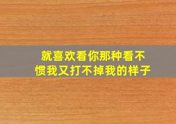 就喜欢看你那种看不惯我又打不掉我的样子,就喜欢你看不惯我又干不掉我的样子经典台词