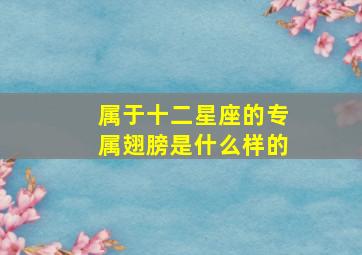 属于十二星座的专属翅膀是什么样的,属于十二星座的专属翅膀是什么样的动物