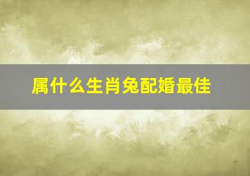 属什么生肖兔配婚最佳,生肖兔的最佳婚配生肖