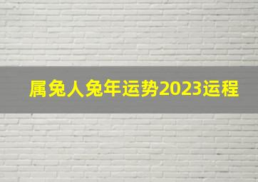 属兔人兔年运势2023运程,2023年兔人全年财运财运有利可图事业喜忧参半