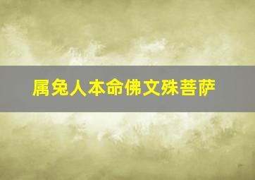 属兔人本命佛文殊菩萨,属兔本命佛文殊菩萨佛