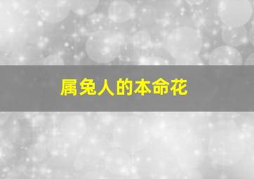 属兔人的本命花,生肖兔的本命花是什么