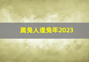 属兔人逢兔年2023,属兔今年的运势怎么样2023