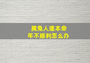 属兔人逢本命年不顺利怎么办,属兔本命年不能结婚吗