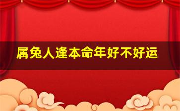 属兔人逢本命年好不好运,属兔人逢本命年好不好运呀