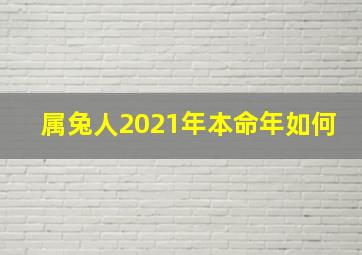 属兔人2021年本命年如何,2011年属兔的人2021年运势及运程