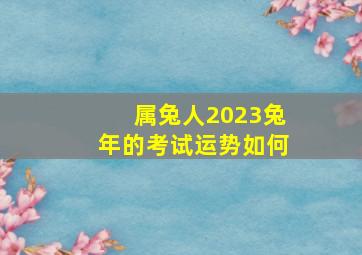 属兔人2023兔年的考试运势如何,兔年兔的运势2023运势