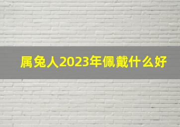 属兔人2023年佩戴什么好,属兔2023穿什么颜色衣服好全体运势理想吗