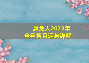 属兔人2023年全年各月运势详解,75年属兔人2023年全年运程及每月运势详细解析