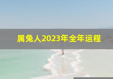 属兔人2023年全年运程,属兔的2023年运势运程