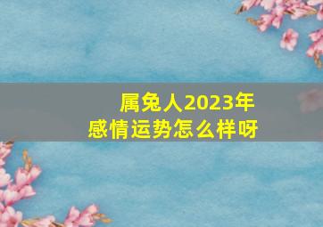 属兔人2023年感情运势怎么样呀,2023年属兔人的感情和婚姻