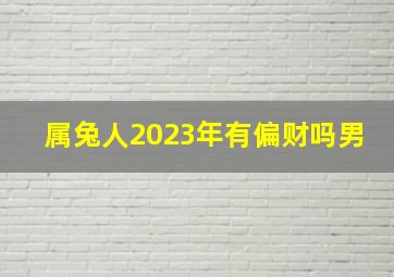 属兔人2023年有偏财吗男,2023年上半年属兔的财位与发财方向南方可得贫贱