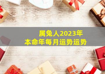 属兔人2023年本命年每月运势运势,2023属兔的人的全年运势