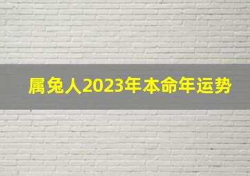 属兔人2023年本命年运势,兔人2023年全年运程