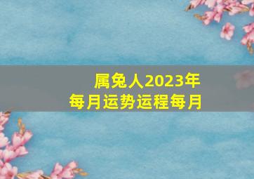 属兔人2023年每月运势运程每月,属相每月运程解析属兔的2023年9月运势走势剖析