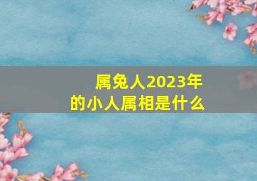 属兔人2023年的小人属相是什么,87年2023年多大