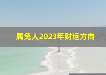 属兔人2023年财运方向,属兔的2023年财运