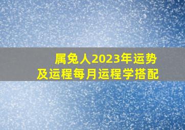 属兔人2023年运势及运程每月运程学搭配,2023年属兔人的全年运势如何