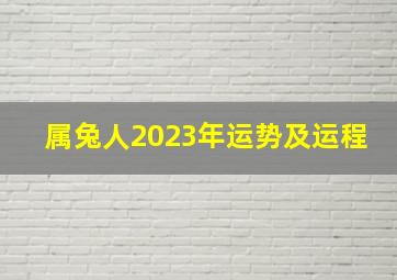 属兔人2023年运势及运程,属兔2023年的运势及运程每月运气