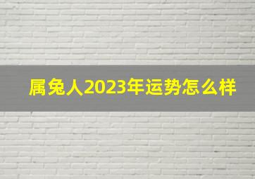 属兔人2023年运势怎么样,属兔的2023年运势运程