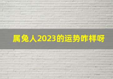 属兔人2023的运势咋样呀,2011年属兔2023年运势及运程