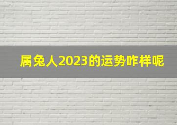 属兔人2023的运势咋样呢,2023年属兔的运气怎样