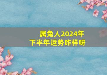 属兔人2024年下半年运势咋样呀,属兔人2024年运势运程每月运程