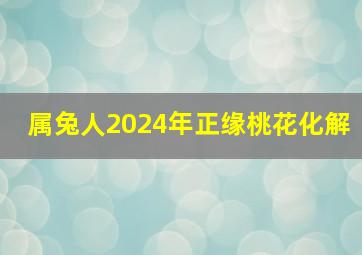 属兔人2024年正缘桃花化解,属兔2024年运势及运程_2024年属兔人的全年运势