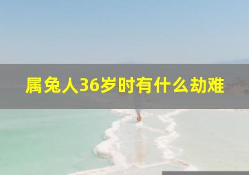 属兔人36岁时有什么劫难,老人说87年属兔人最穷不过36岁有什么玄机