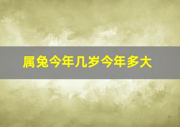 属兔今年几岁今年多大,属兔的人有多少岁了