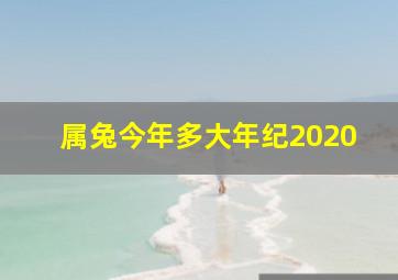 属兔今年多大年纪2020,属兔今年多大年纪2023