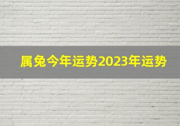 属兔今年运势2023年运势,属兔的人2023年运程大全属兔人必看