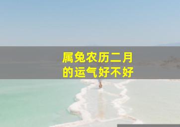 属兔农历二月的运气好不好,农历二月出生的兔宝宝命运福气深厚财富满满