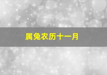 属兔农历十一月,1999年农历十一月出生兔命运99年十一月生肖兔感情福祸参半