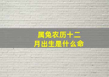 属兔农历十二月出生是什么命,属兔农历十二月份出生什么命