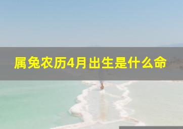 属兔农历4月出生是什么命,1999年农历4月初4出生的命运