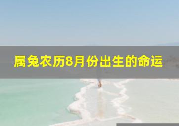 属兔农历8月份出生的命运,属兔农历8月份出生的命运怎样