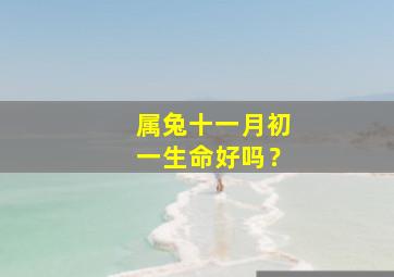 属兔十一月初一生命好吗？,属兔十一月出生是什么星座