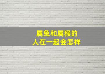 属兔和属猴的人在一起会怎样,猴和兔相配吗