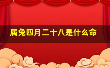 属兔四月二十八是什么命,属兔人生于四月二十九命运