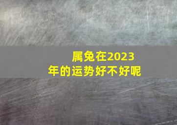 属兔在2023年的运势好不好呢,属兔在2023年运势