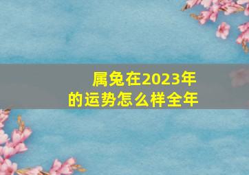 属兔在2023年的运势怎么样全年,属兔2023年的运势及运程