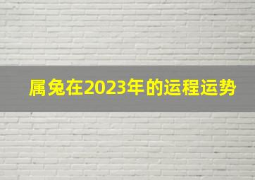 属兔在2023年的运程运势,属兔在2023年的运程运势怎么样