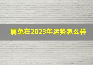 属兔在2023年运势怎么样,属兔人2023年全年运势及运程